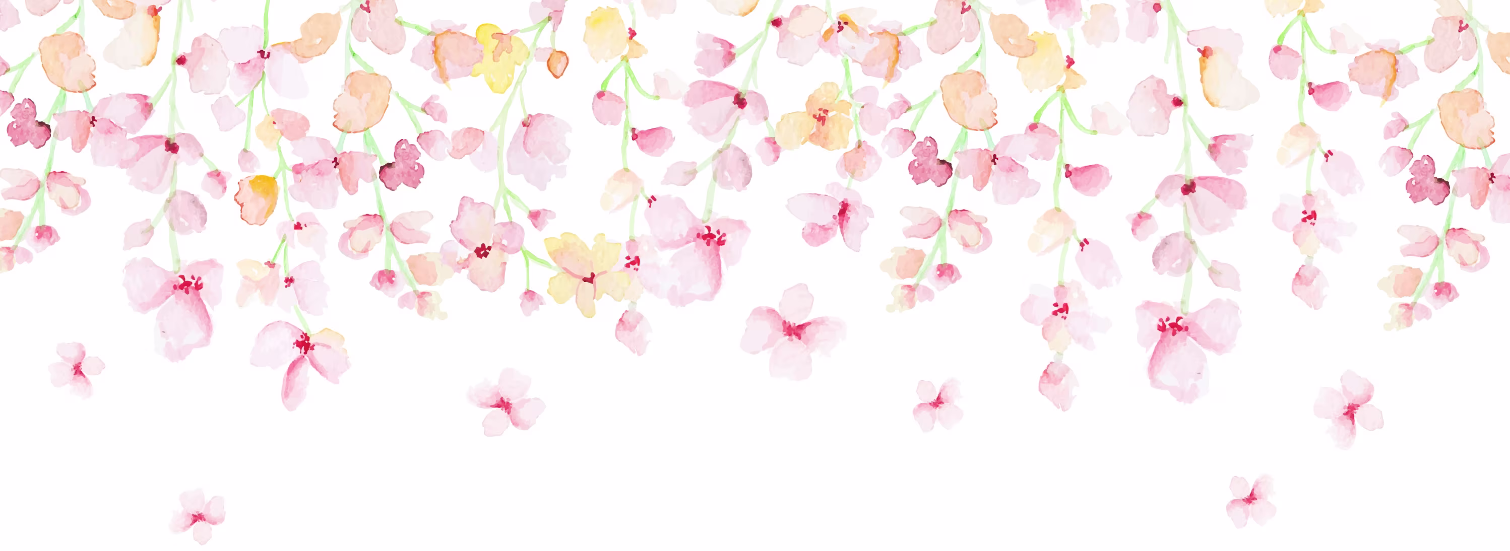flowers_top